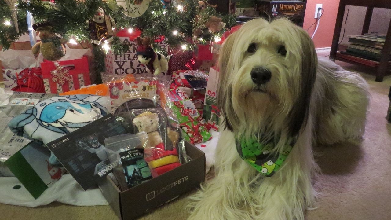 Loot Pets Unboxing December 2016