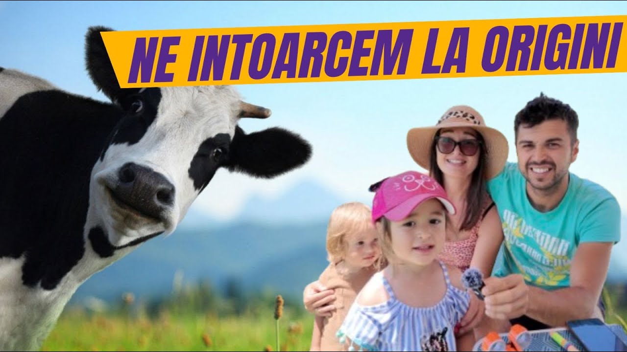Vreau să-mi Cumpăr VACI, OI, CAI, Ne întoarcem la ȚARĂ?