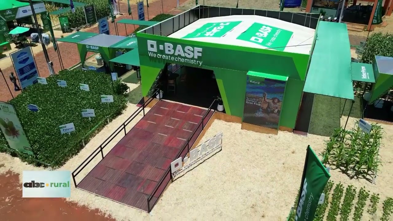 Компания BASF предлагает обработку семян с использованием дифференцированного продукта.