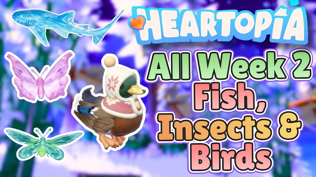 EVERY Week 2 Frostspore Fish, Insects & Winter Birds Locations | Heartopia