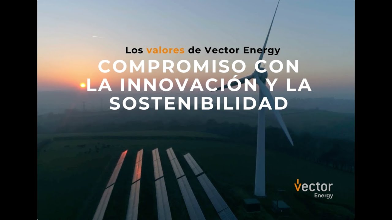 Valores Vector Energy 2024