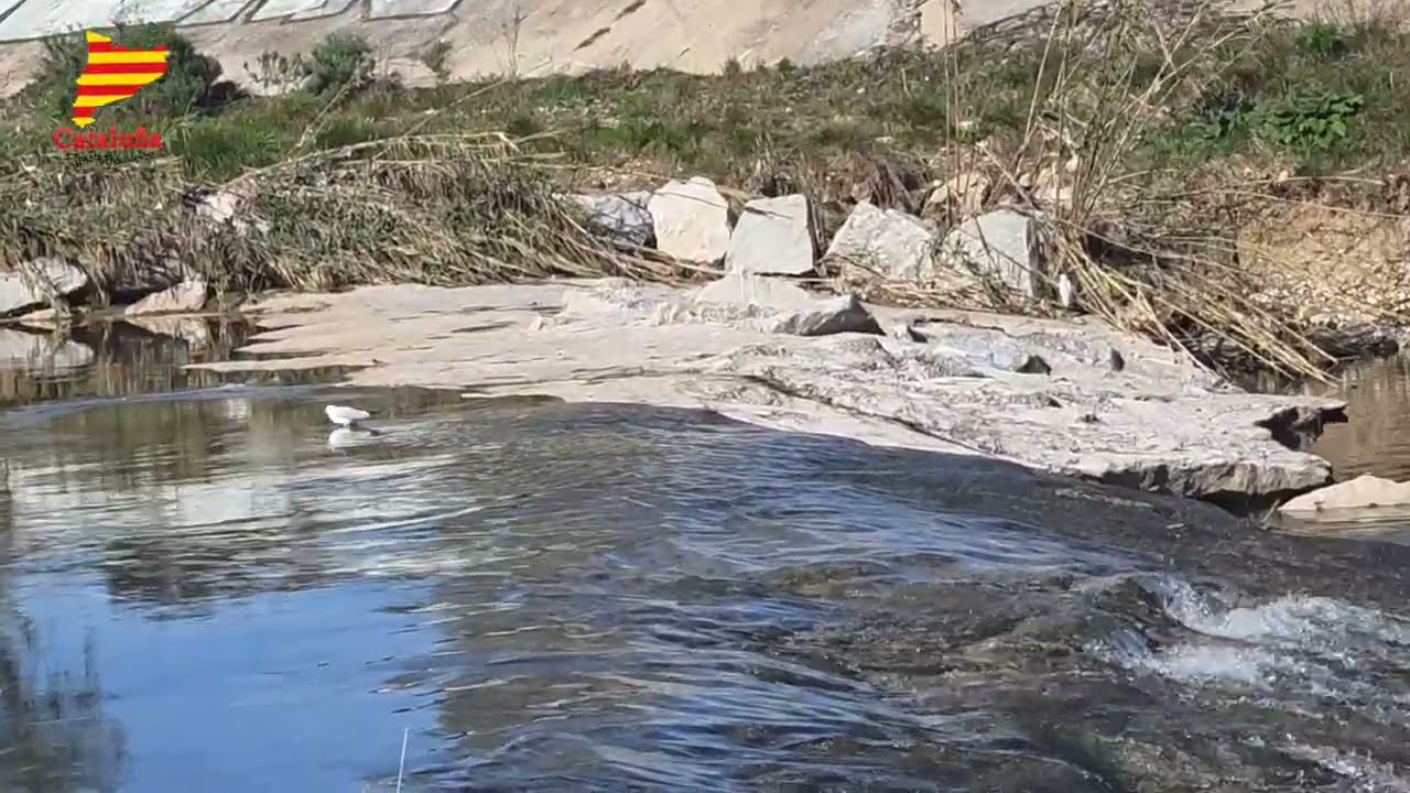 دور الأجداد في حياة الأحفاد