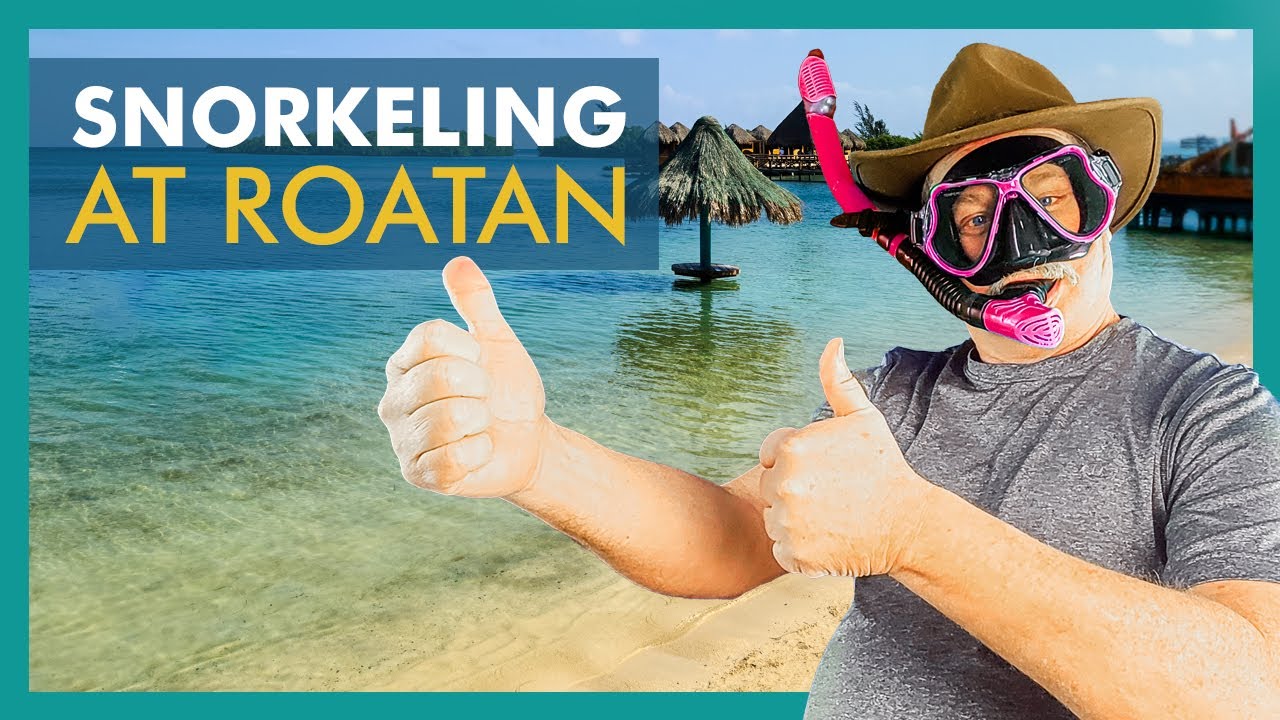 Is Snorkeling the Ultimate Turquoise Bay Experience?? Harmony of the Seas at Roatan, Honduras