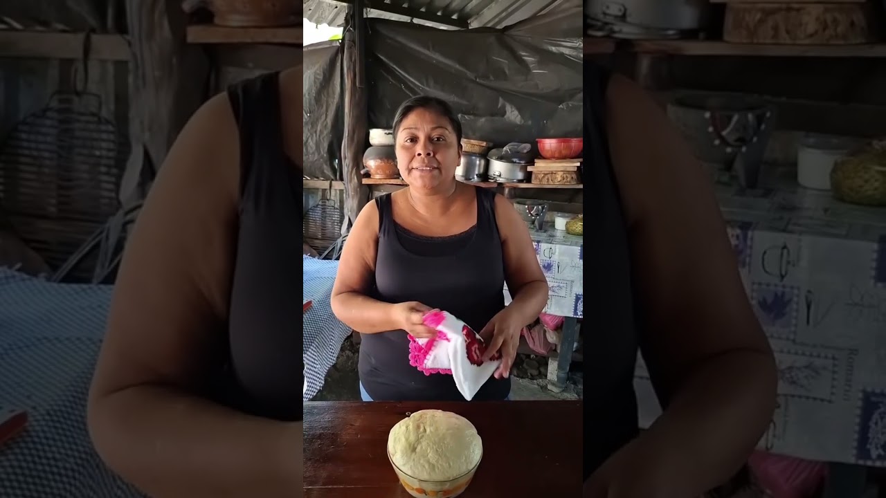Tres deliciosas recetas juntas, rollitos de jamón y queso, pollo en salsa y queso asado en salsa.