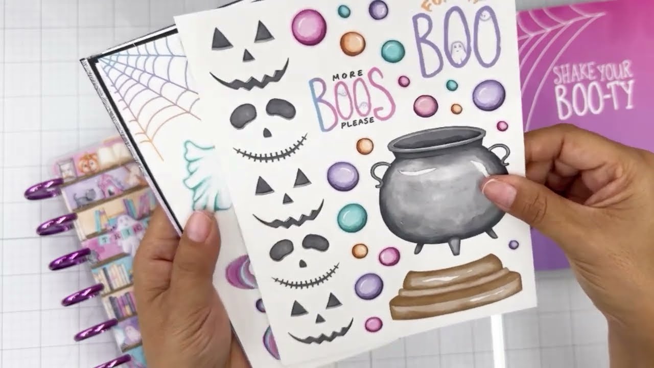 Happy Mail Day!  Planners Anonymous “For the Boos 2” has arrived!