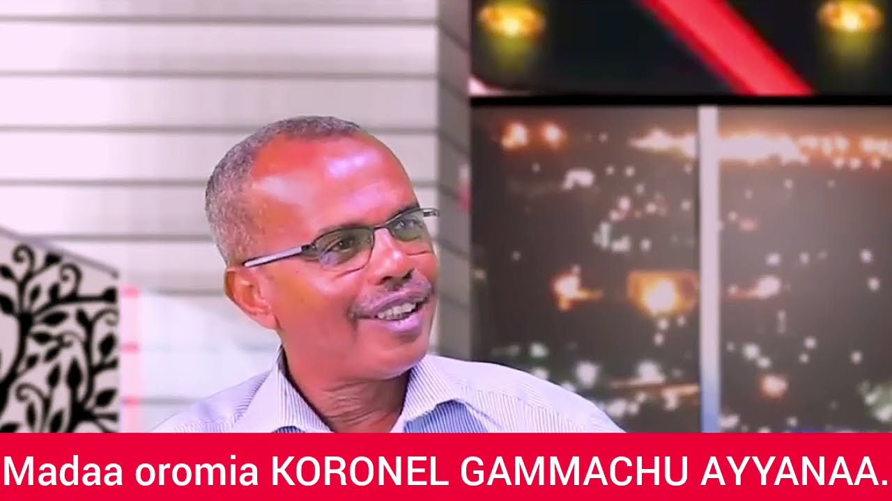 GAMMACHU AYYANAA seenaa garaa nama nyaatuu.