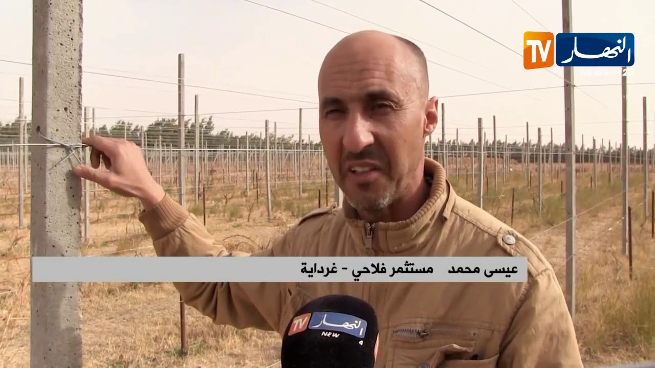 غرداية/ 