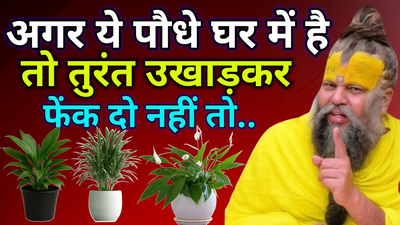 घर के सामने ये पौधे है तो तुरंत हटा दो, धन नहीं, विनाश होते देर नहीं लगेगी Premanand Ji Maharaj