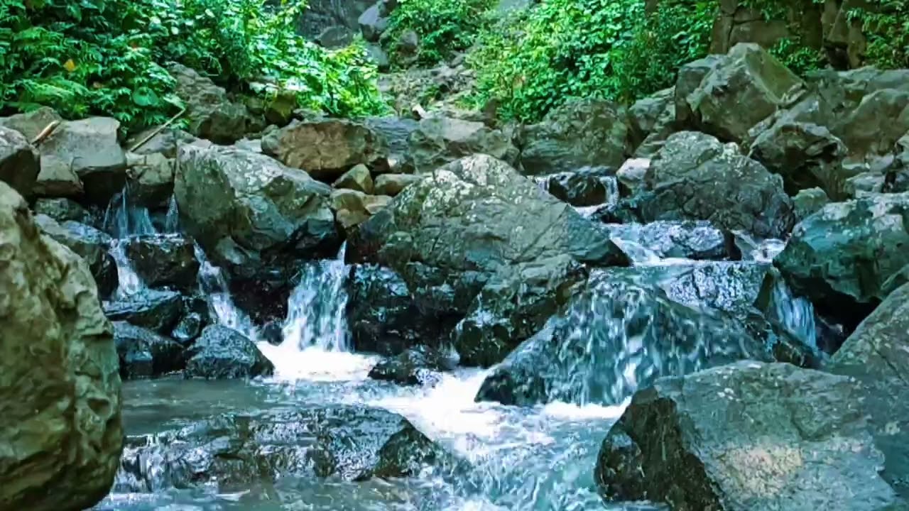Forest River Serenity – Relaxing Water Sounds 1080p HD | White Noise for Deep Sleep