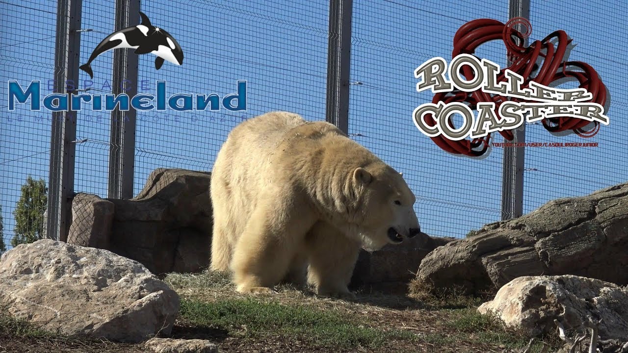 Tour Complet Marineland Antibes  2017 Complete Walkthrough