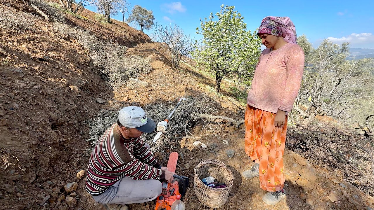 Kepçe Sonrası Son İş - İncir Ağacı Budama İşi