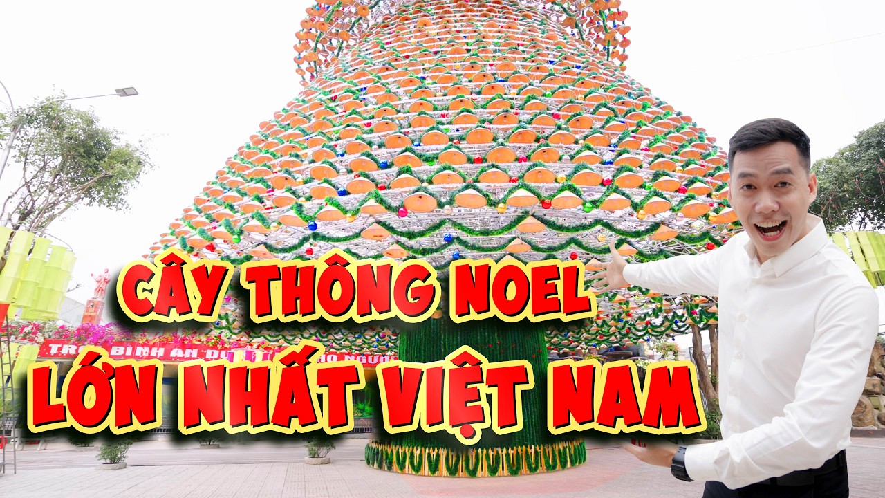 Kỷ lục cây thông noel cao nhất Việt Nam 47 mét tại nhà thờ Hà Phát, khám phá nhà thờ Hà Phát