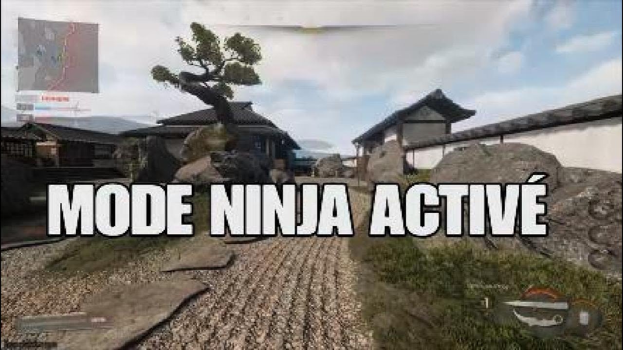 LES MOUV' D'UN NINJA SUR BLACK OPS 7