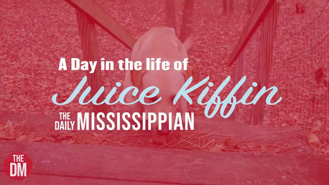 Juice Kiffin: the dog, the myth, the legend
