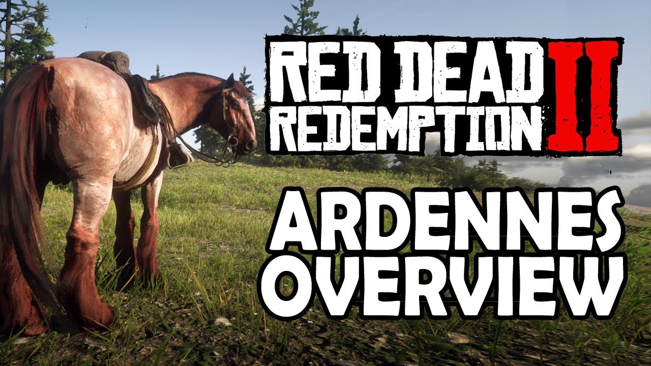 Обзор Арденн | Лошади в Red Dead Redemption 2