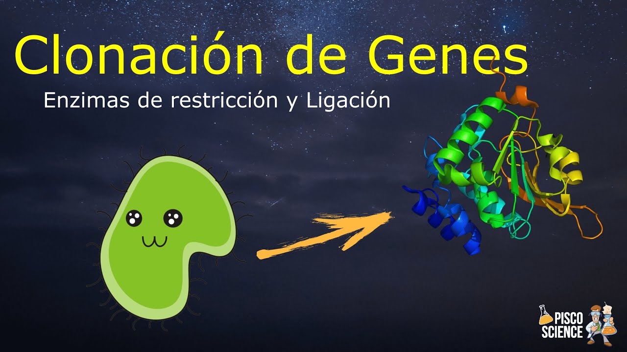 Teoría de la Clonación de Genes