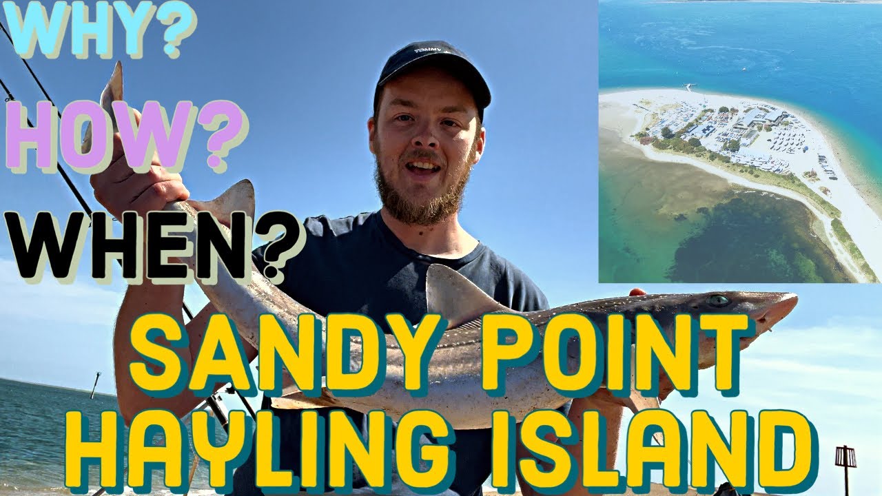 Fishing At SANDY POINT Hayling Island | How, when and why to fish at this venue!