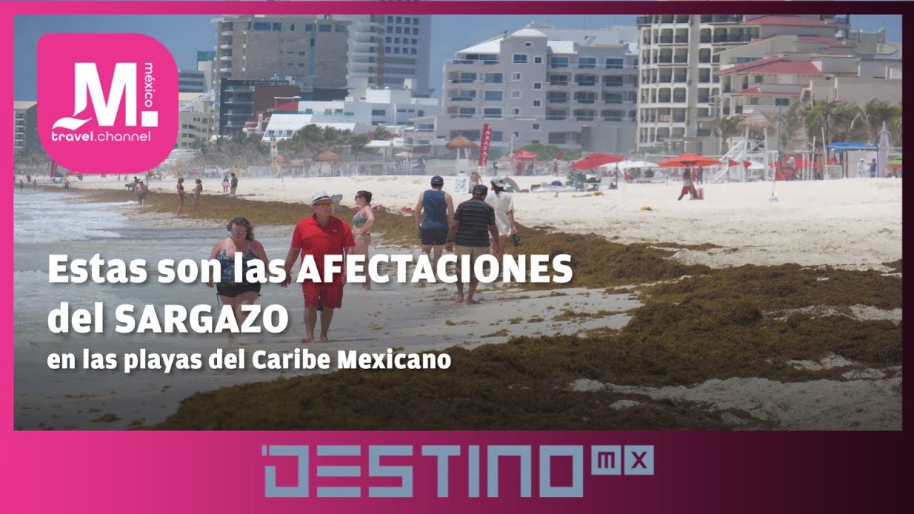 ¿CÓMO AFECTA EL SARGAZO AL TURISMO MEXICANO?