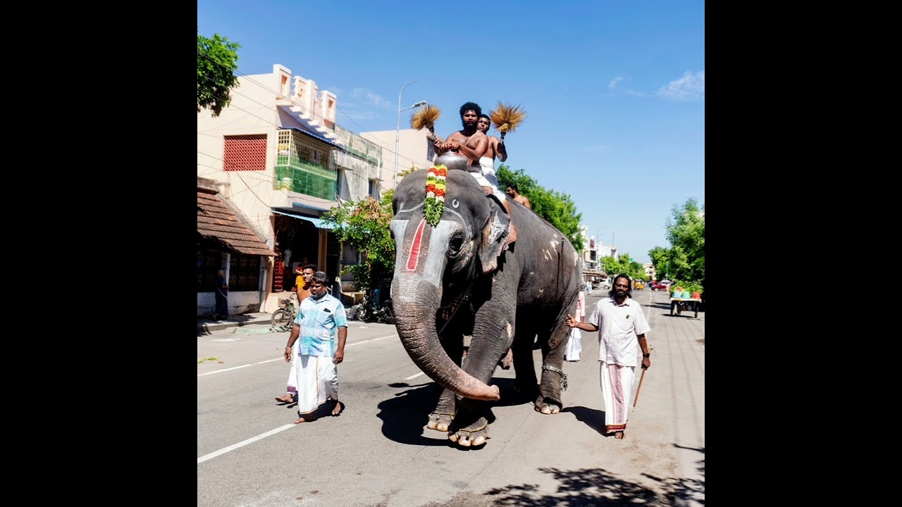 ஸ்ரீரங்கம் விஸ்வரூப தரிசனம் என்றால் என்ன