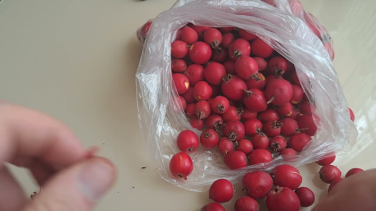 Hawthorn jam and compote