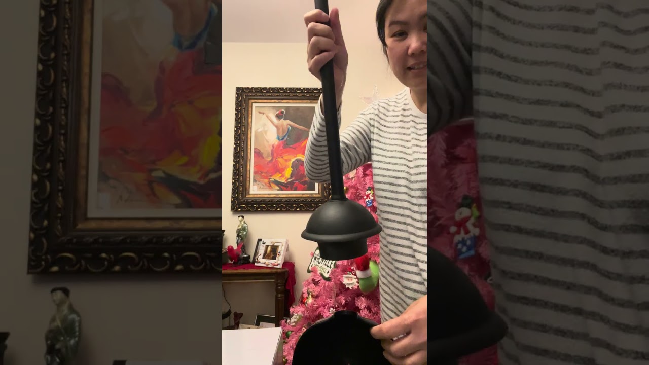 Toilet plunger Review