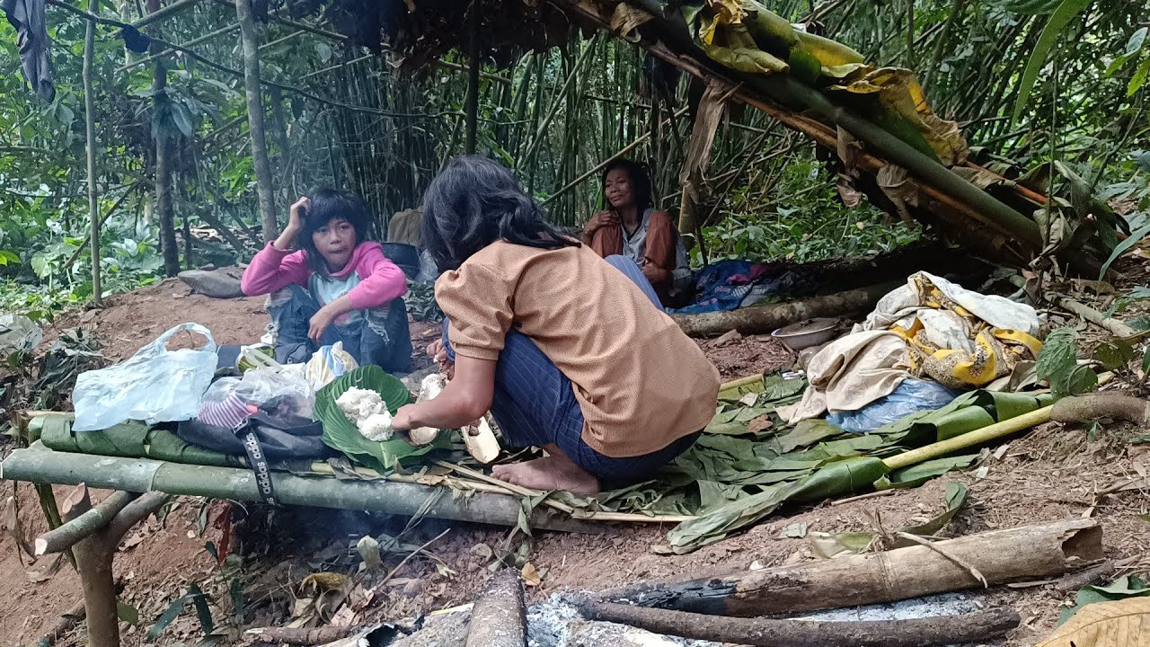 วิถีชีวิตเผ่าตองเหลืองเลี้ยงดูลูกอยู่ในป่า คนป่า ตองเหลือง ຄົນປ່າ ຕອງເຫຼືອງ bn saolao 