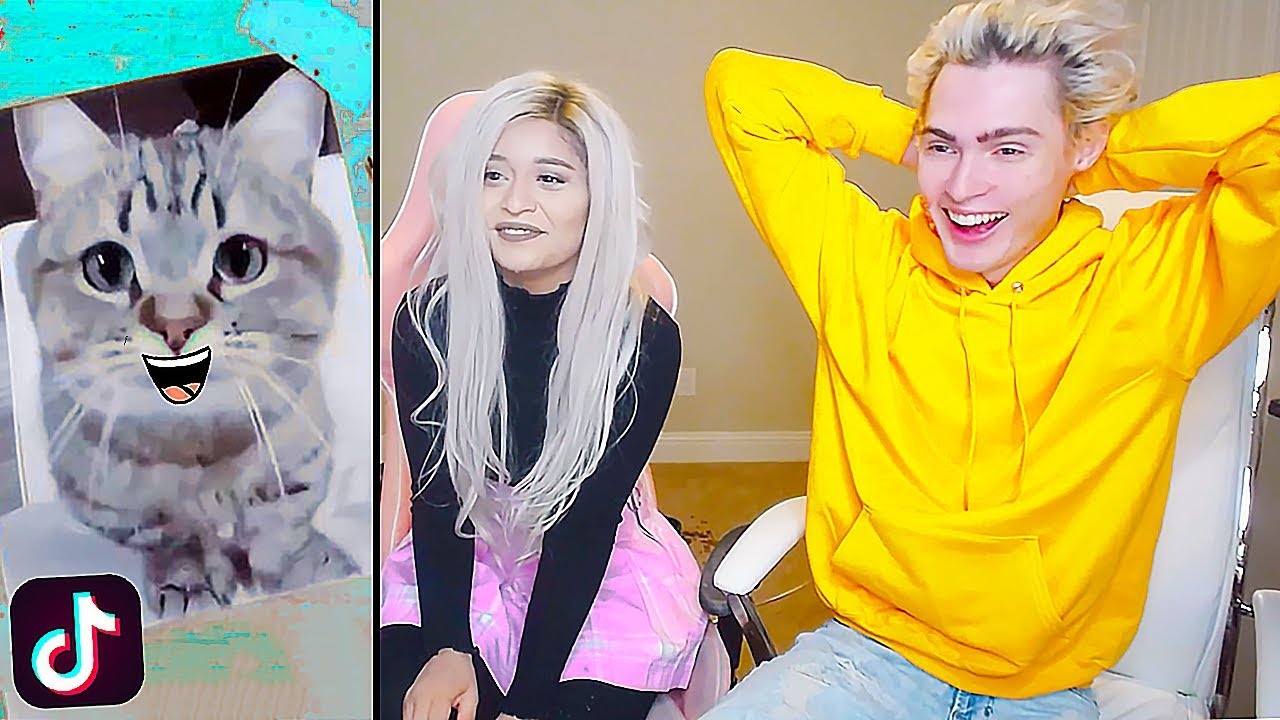 TIK TOK TRY NOT TO LAUGH CHALLENGE vs MY GIRLFRIEND