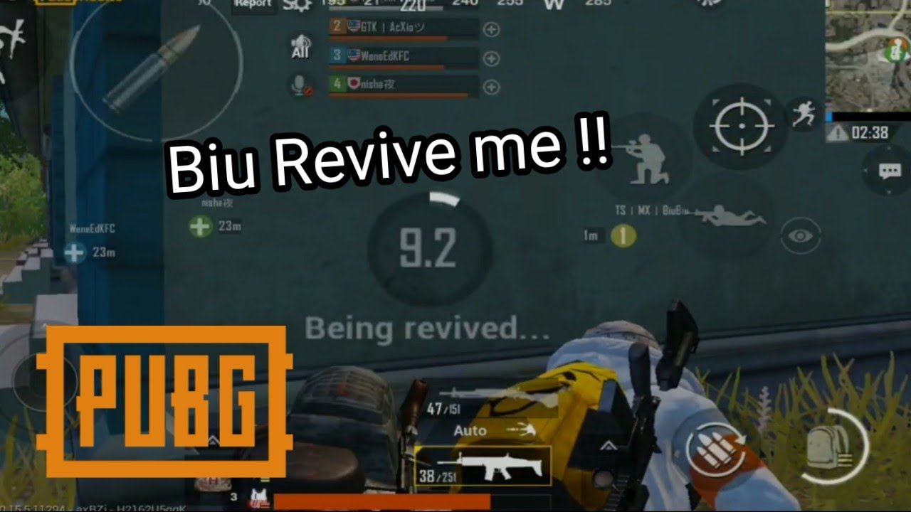 BiuBiu Revive me and give us WWCD | Pubg Mobile