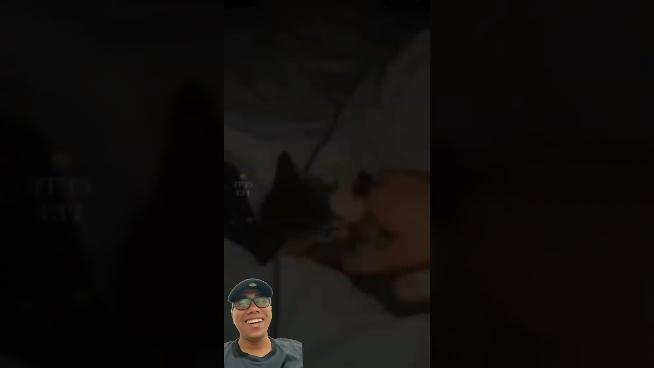 Funny cat #catsadstory #catvideos #cat