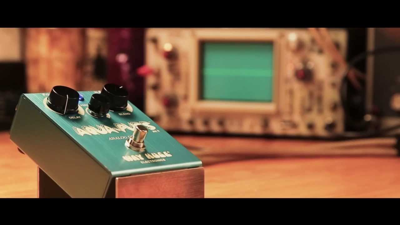 Way Huge Aqua Puss Analog Delay: Slapback & Feedback (Instructional Demo)