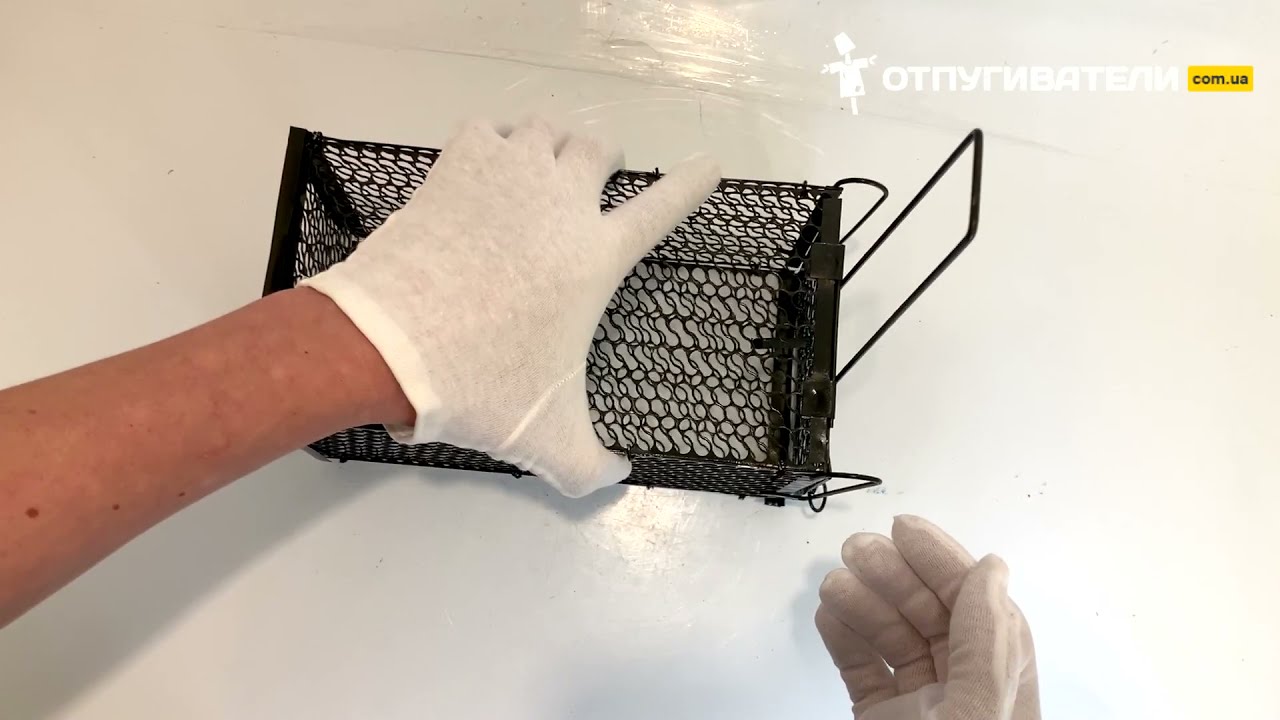 Обзор и принцип работы металлической крысоловки (клетка-живоловка) 140 на 140 на 275 мм