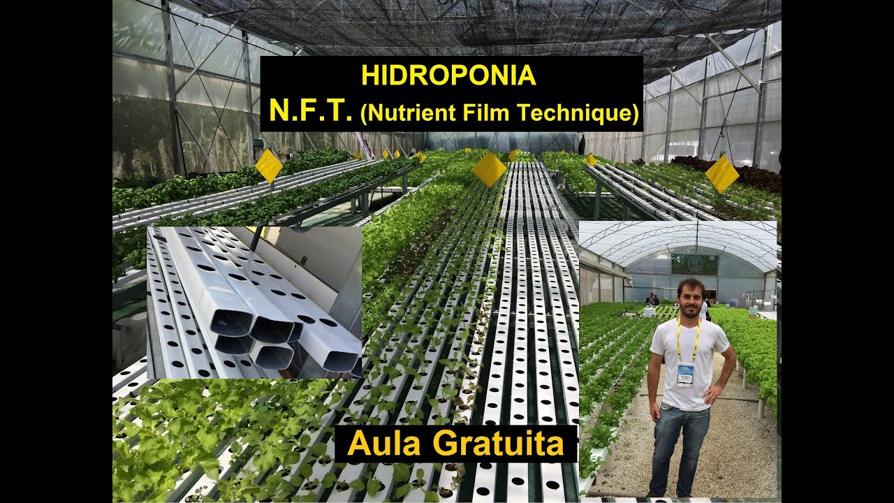 Hidroponia - NFT ( Nutrient Film Technique )