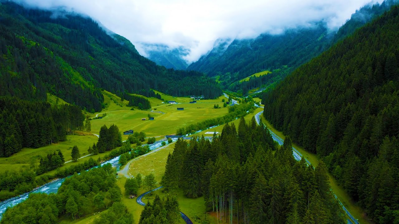 Stop Overthinking, Calming Music - Beautiful Relaxing Music - Stress Relief Music, Sleep Music