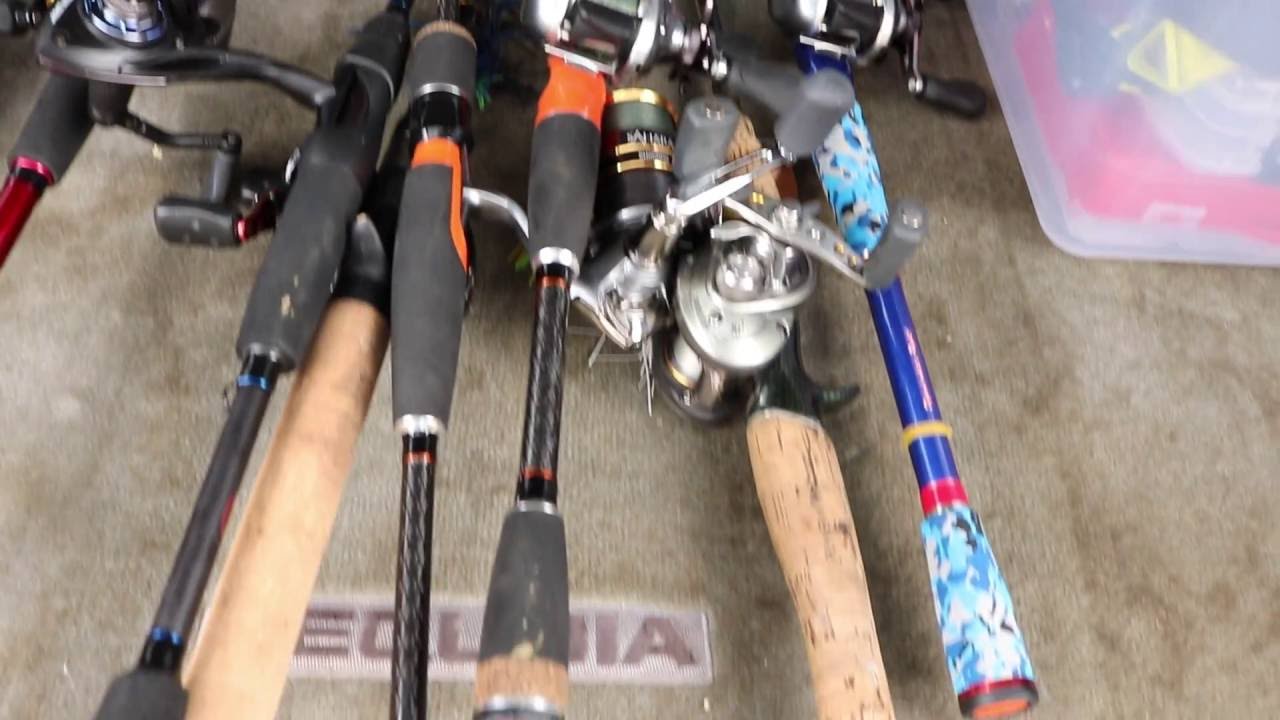 Favorite Rods Review