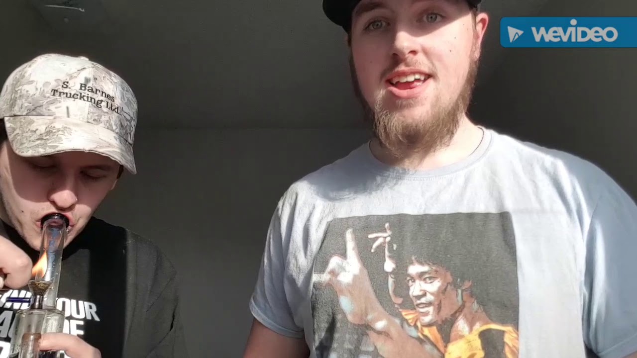 Peanut butter strain review.