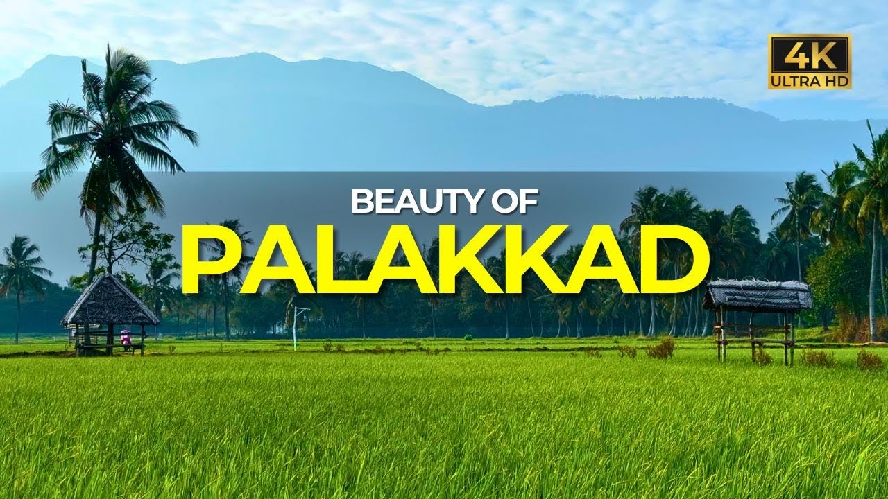 Beauty Of Palakkad You Should Never Miss | Traditional Kerala | 4K UHD