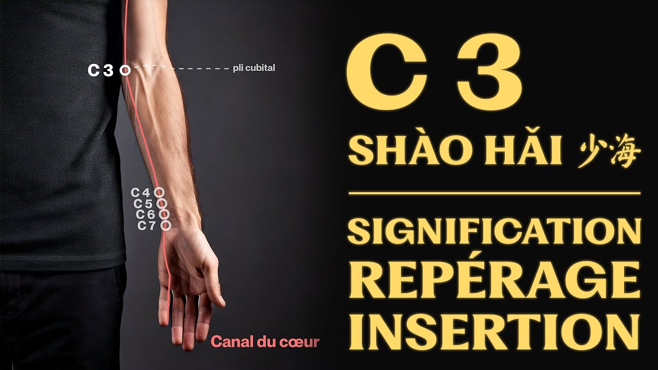 Point d'acupuncture : C 3 (shào hǎi 少海) signification, repérage, insertion