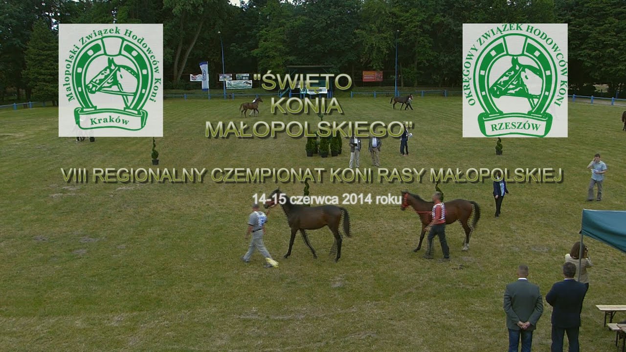 Święto konia małopolskiego - Klikowa 2014