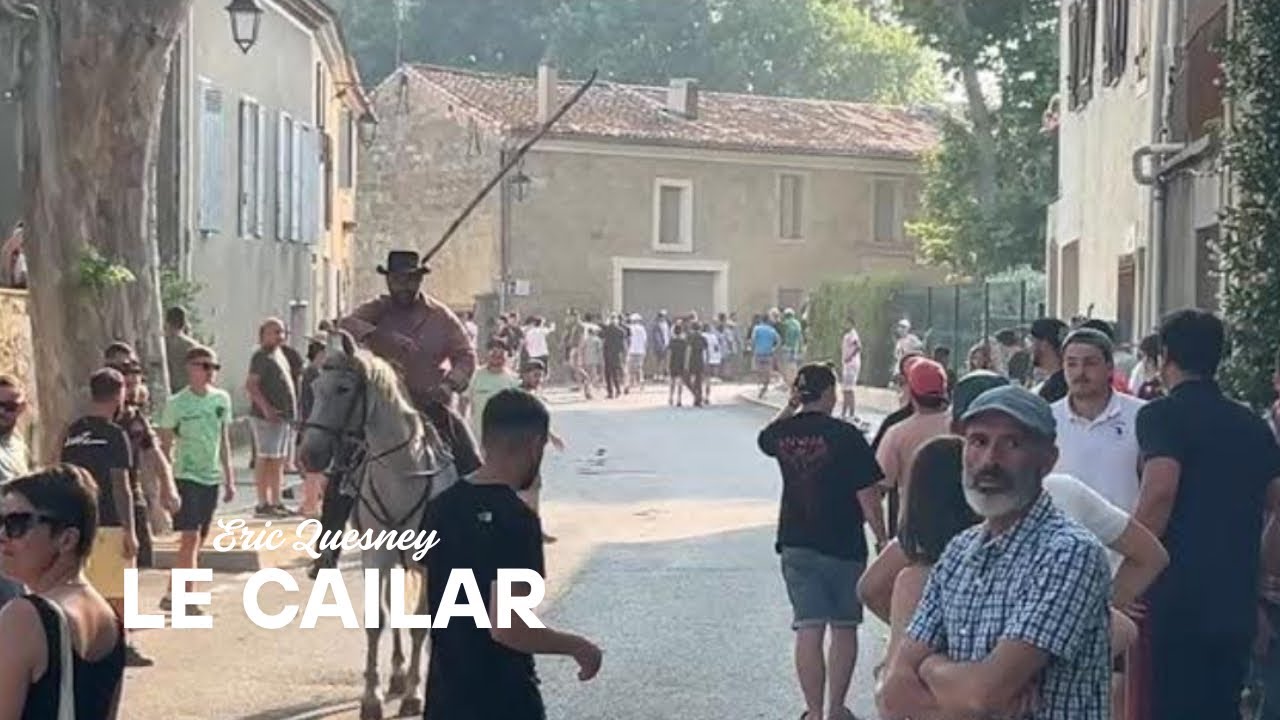 EN DIRECT 20 taureaux Le Cailar le 9 juin 2025