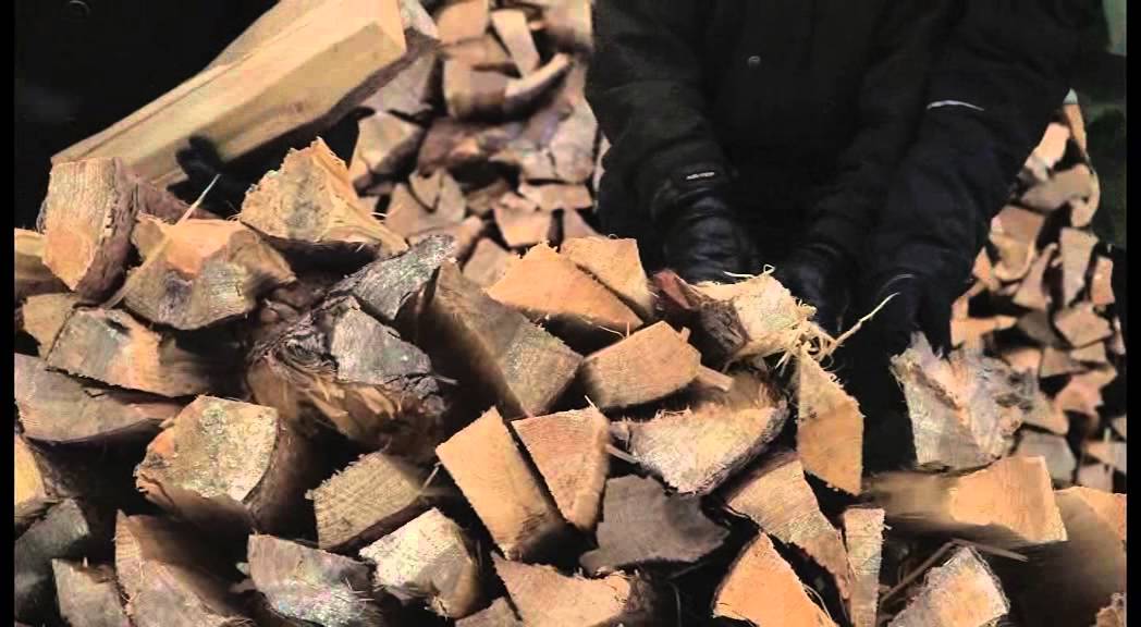 European forestry innovation: towards a green economy