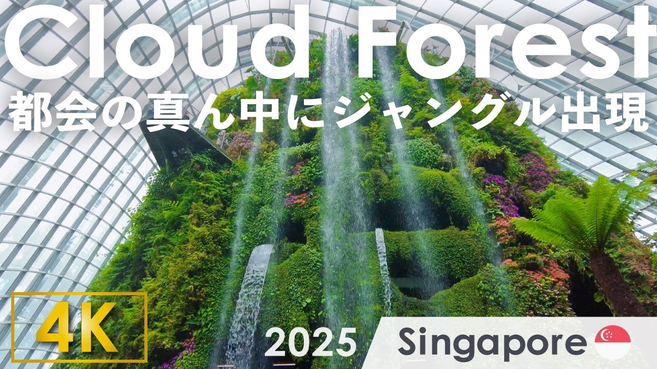 2025 シンガポール / 巨大な熱帯植物園！圧倒的スケールに感動【4K】
