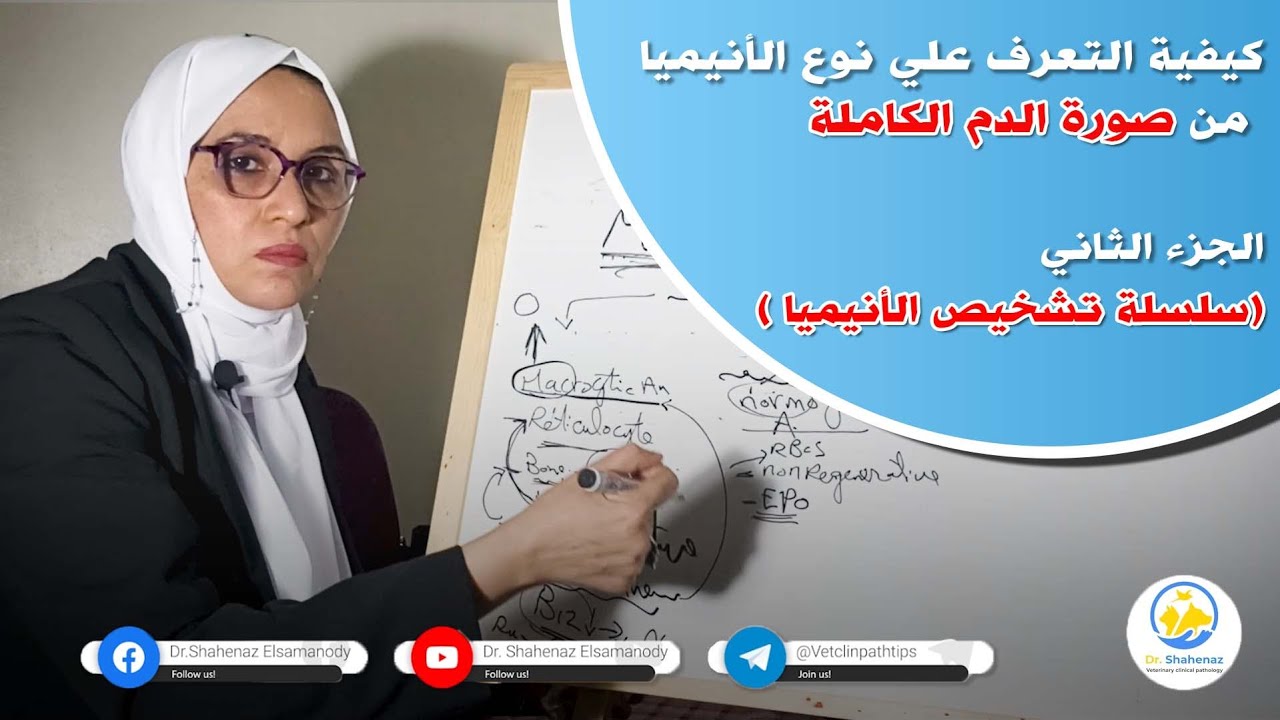 كيفية التعرف علي نوع الأنيميا من صورة الدم الكاملة - الجزء الثاني - (سلسة تشخيص نوع الأنيميا)