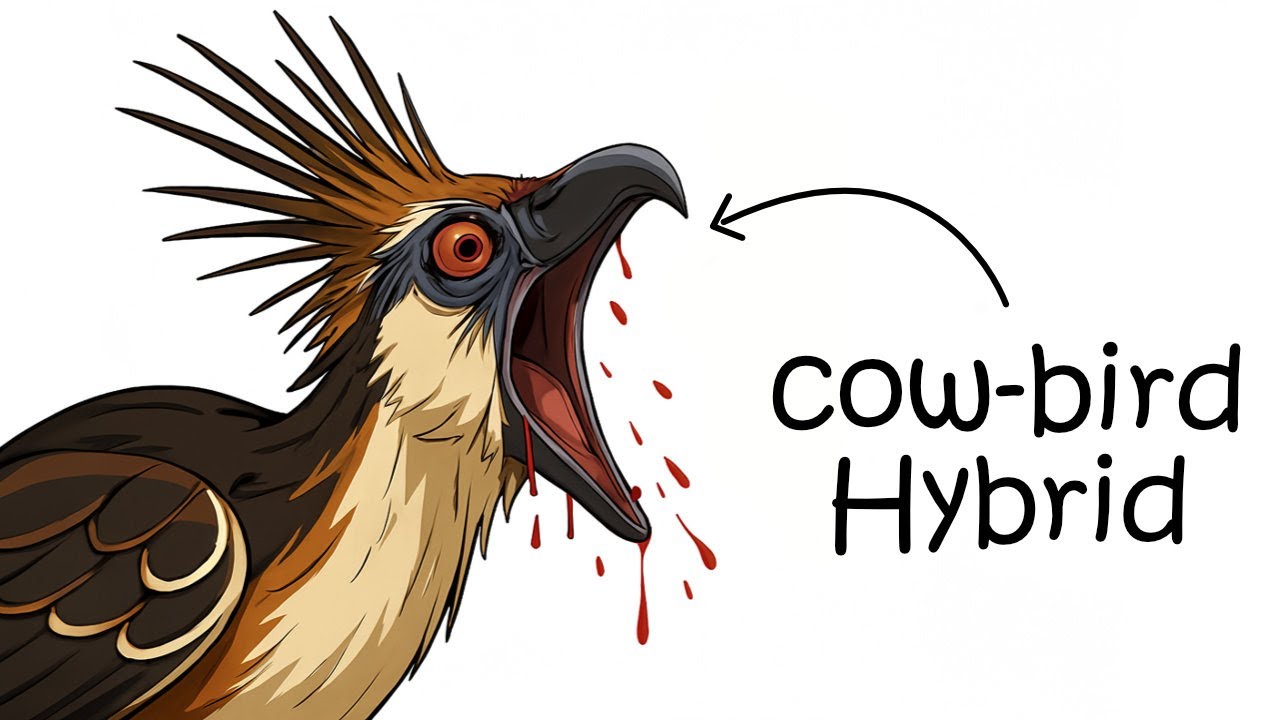 Your Life as An Hoatzin Baby
