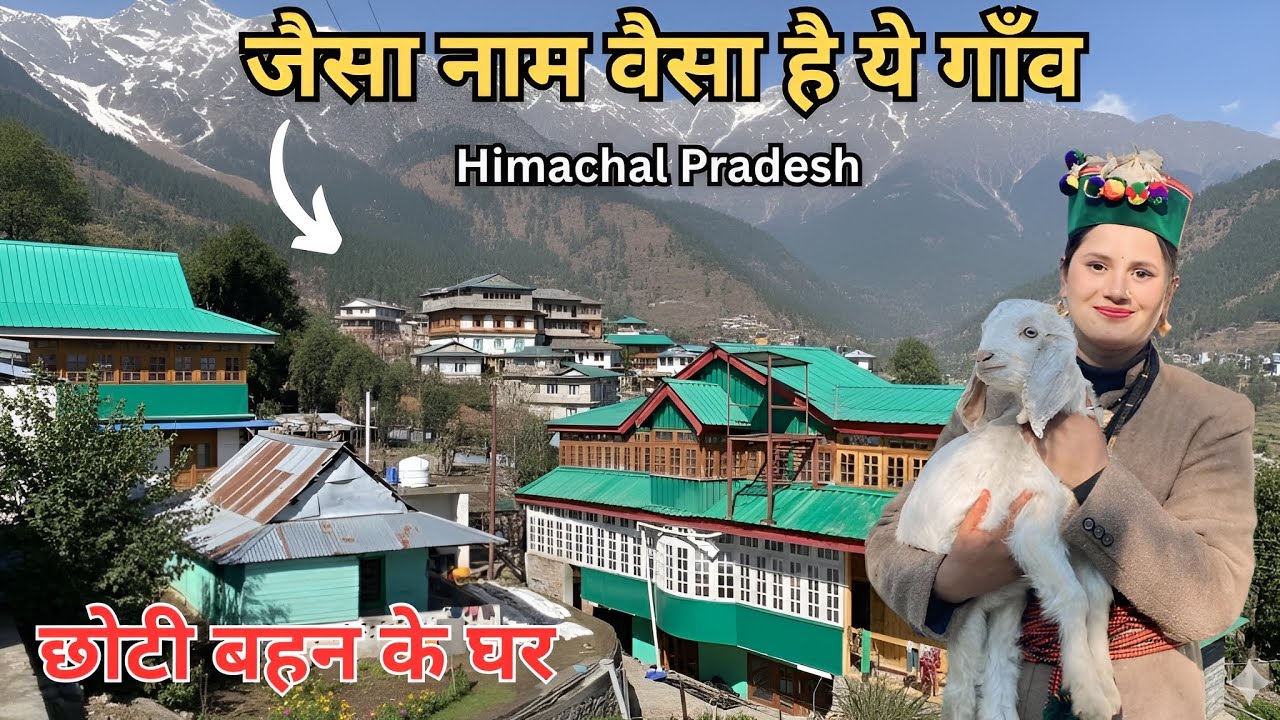 Village Tour -जैसा नाम वैसा है ये गाँव | Dhakgoan is the most beautiful village in Shimla District 