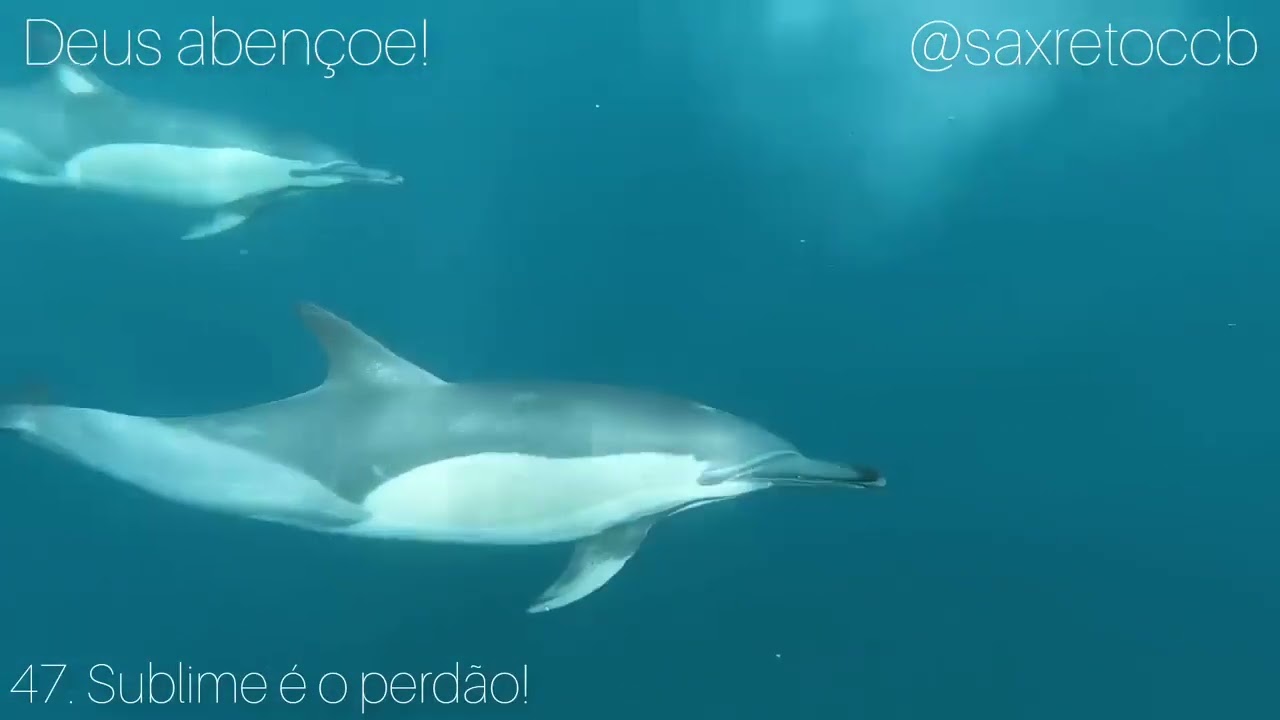 1 hora dos mais belos Hinos Cantados na CCB do Brás   Congregação Cristã no Brasil 🙏