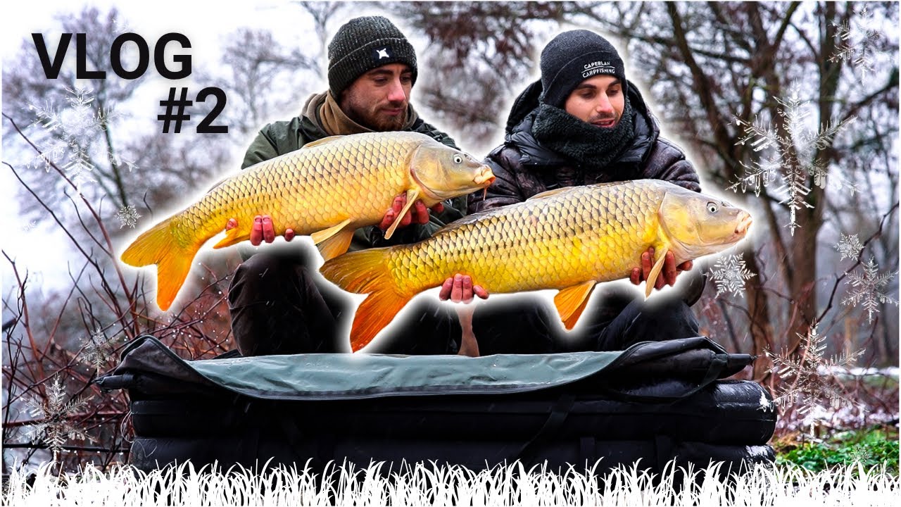 [VLOG#2] FESTIVAL de CARPES sous la NEIGE - PÊCHE de la CARPE en HIVER !