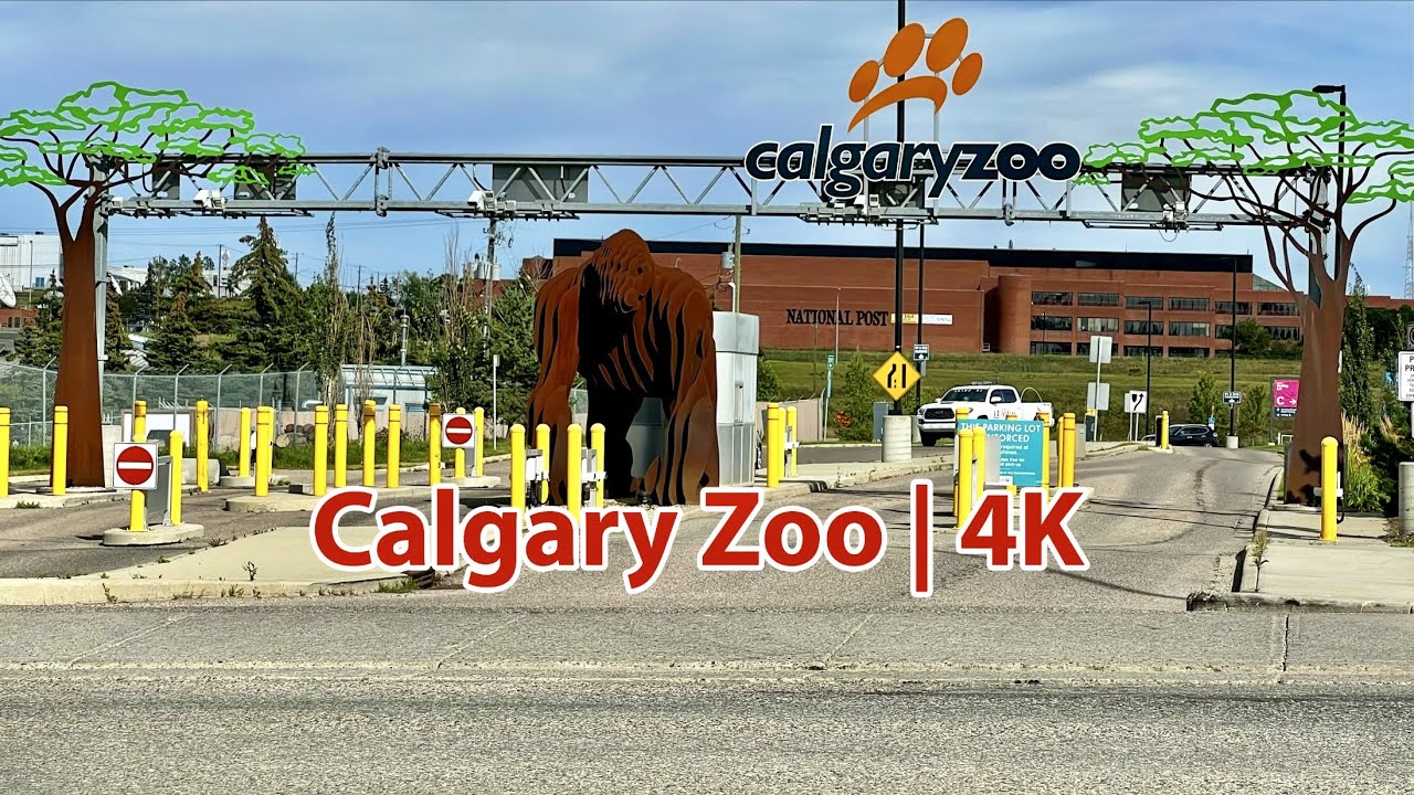 Calgary Zoo | Canada's Most Visited Zoo | One of the Top Zoos in the World | Summer Walk | 4K