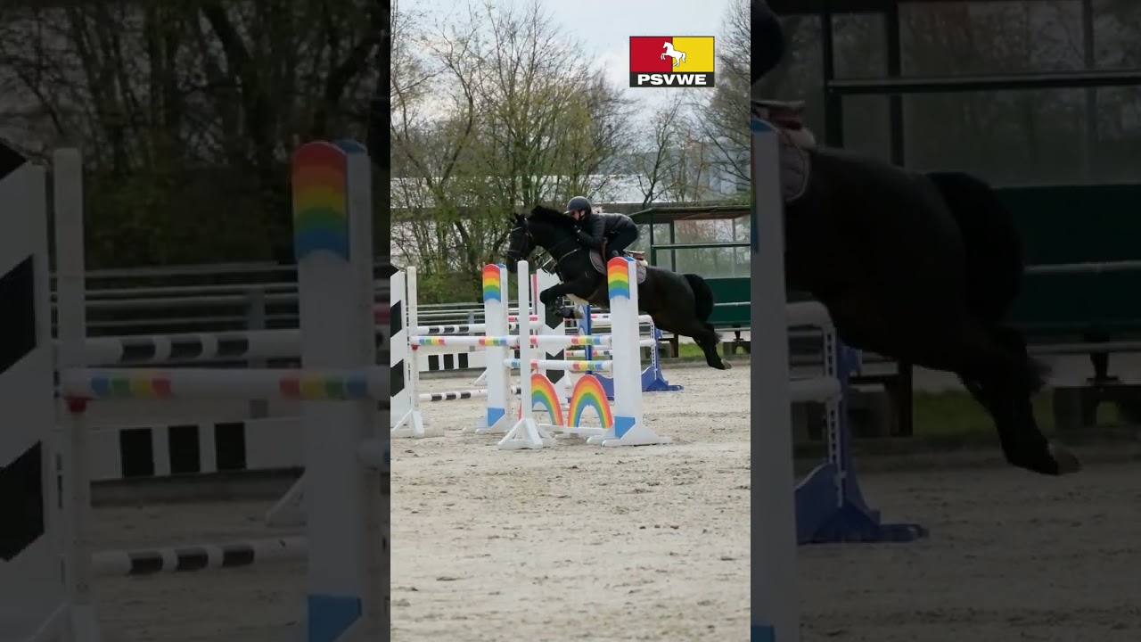 Landeskader & Perspektivgruppe trainiert beim Bundestrainer Peter Teeuwen  an der Landeslehrst&auml;tte