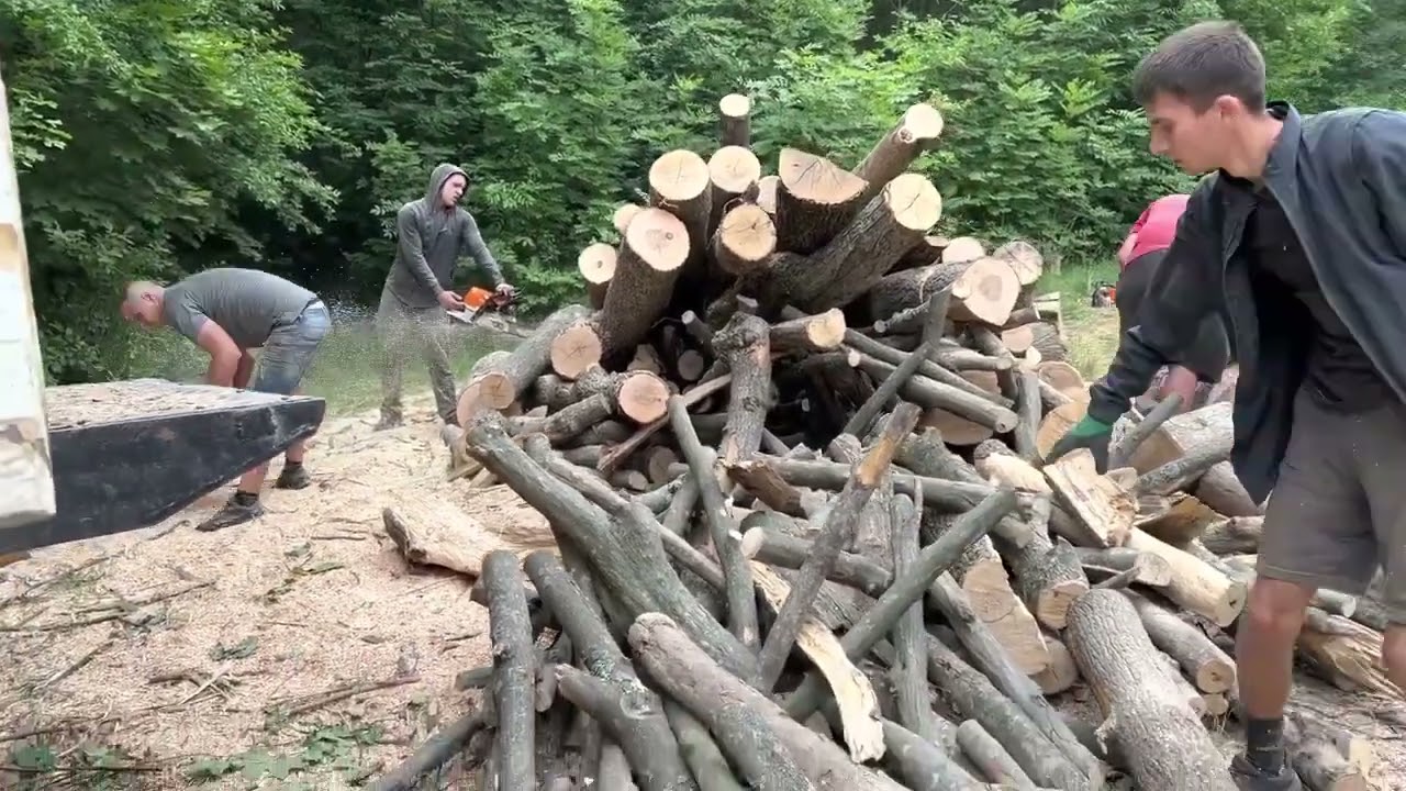 Hardcore Woodcutting – Chainsaw Skills on Another Level