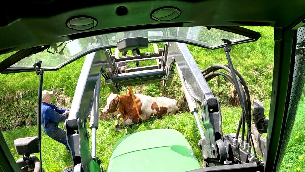 Not the Best Start of the Grazing Season